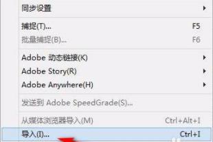 pr怎么裁剪视频画面大小详细方法