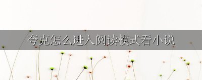 夸克怎么进入阅读模式看小说 夸克浏览器怎么进去小说阅读模式