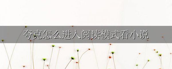夸克怎么进入阅读模式看小说