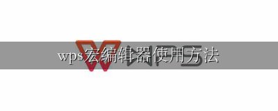 wps宏编辑器使用方法 wps如何使用编辑并使用宏