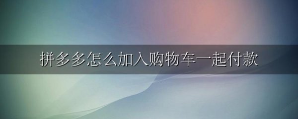 拼多多怎么加入购物车一起付款