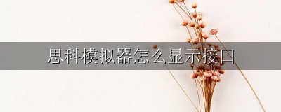 思科怎么打开接口 思科模拟器怎么显示接口