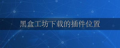 黑盒工坊安装教程 黑盒工坊下载的插件位置
