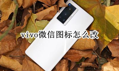 vivo怎样修改图标 vivo微信图标怎么改