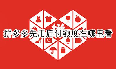 拼多多先用后付额度在哪里看 拼多多在哪里看先用后付的额度