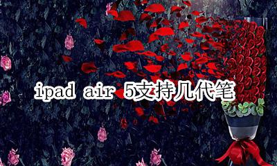 ipad air5适配几代笔 ipad air 5支持几代笔