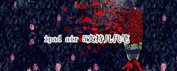 ipad air 5支持几代笔