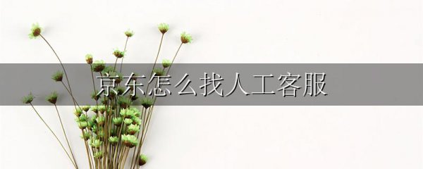 京东怎么找人工客服