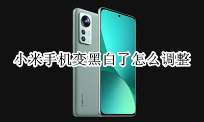 小米手机变黑白了怎么调整 小米手机变黑白怎么调过来