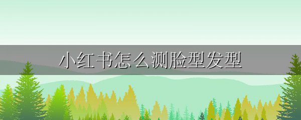 小红书怎么测脸型发型