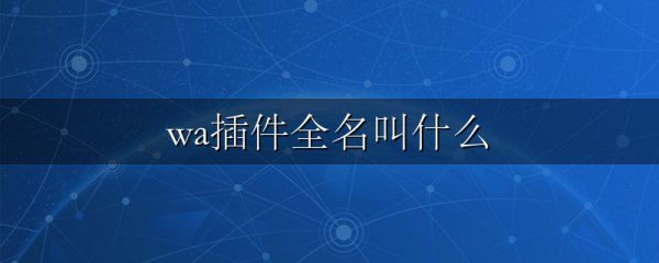 wa插件全名叫什么