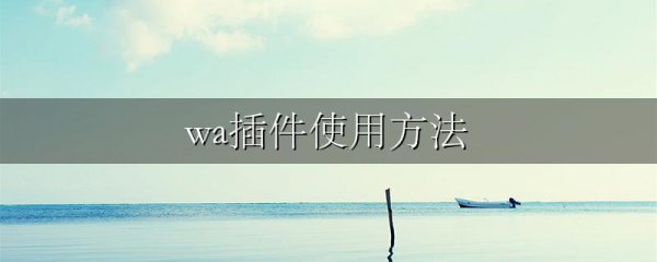wa插件使用方法