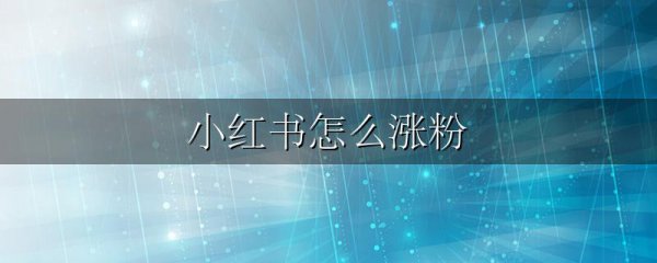 小红书怎么涨粉