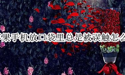 苹果手机放口袋里总是被误触怎么办 苹果手机放口袋误触现在手机停用了