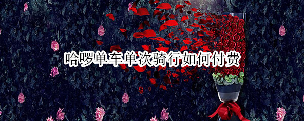 哈啰单车单次骑行如何付费