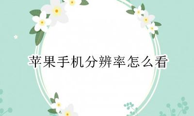 苹果手机分辨率怎么看 苹果手机怎么看手机分辨率