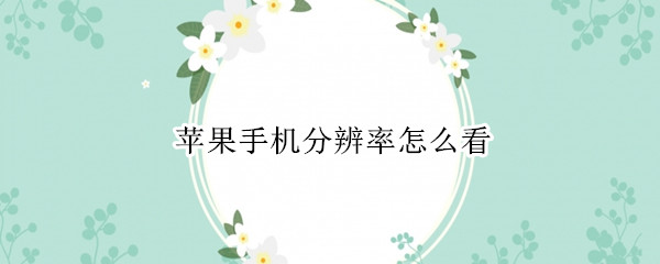 苹果手机分辨率怎么看