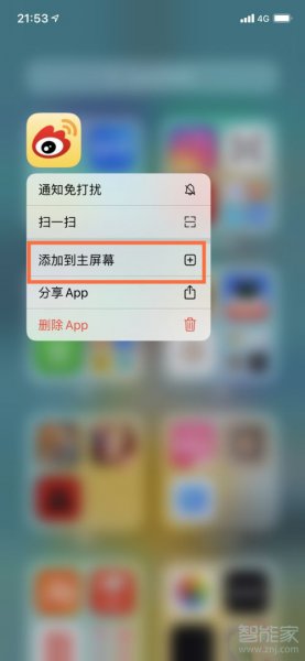 苹果13下载的软件在哪里