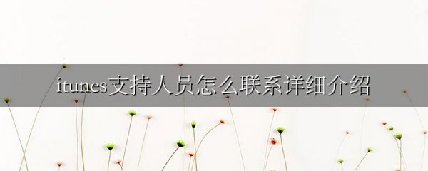 itunes支持人员怎么联系详细介绍