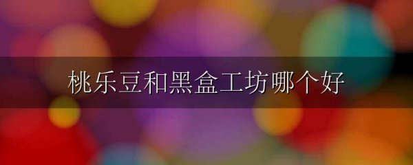 桃乐豆和黑盒工坊哪个好