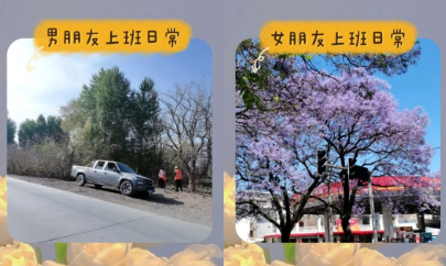 贴贴app怎么删除照片