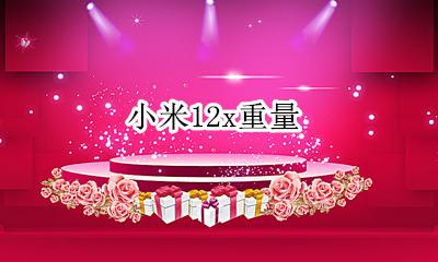 小米12多重 小米12x重量