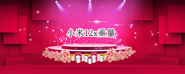 小米12x重量