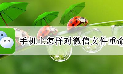 微信的文件怎样重命名 手机上怎样对微信文件重命名