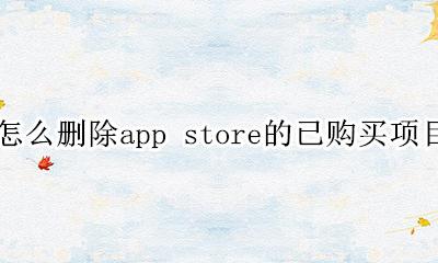 苹果手机app怎么删除已购买项目 怎么删除app store的已购买项目