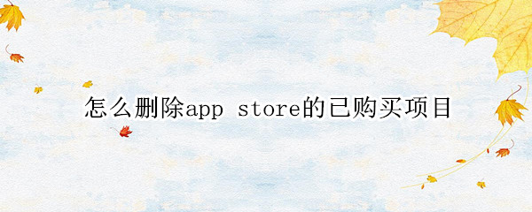 怎么删除app store的已购买项目