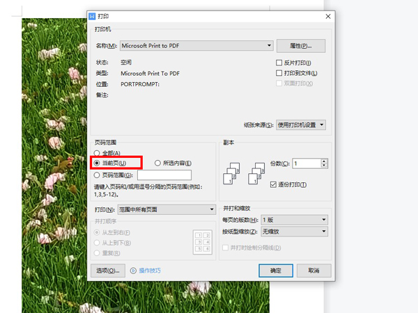多页文档怎么只打印一页