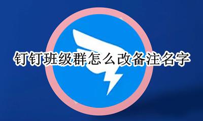 钉钉班级群怎么改备注名字 钉钉班级群怎么改个人备注