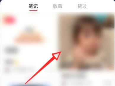 小红书怎么置顶自己的笔记详细方法