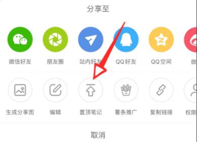 小红书怎么置顶自己的笔记详细方法