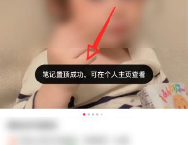 小红书怎么置顶自己的笔记详细方法