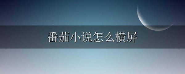 番茄小说怎么横屏