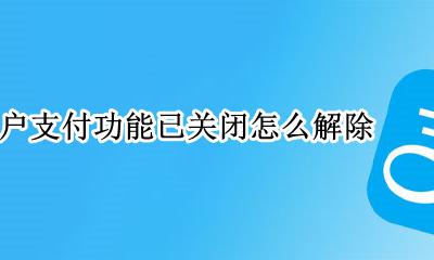 账户支付功能被关闭 账户支付功能已关闭怎么解除