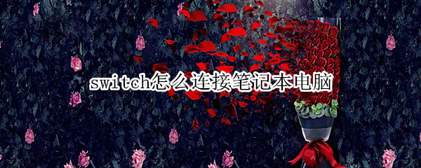 switch怎么连接笔记本电脑