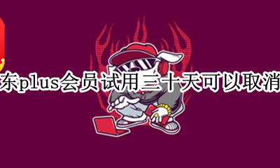 京东plus会员试用三十天可以取消吗 京东plus会员试用三十天内可以取消吗