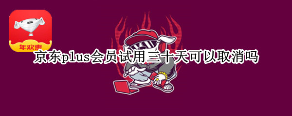 京东plus会员试用三十天可以取消吗