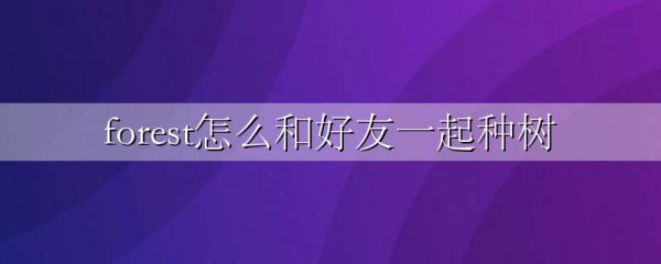 forest怎么和好友一起种树