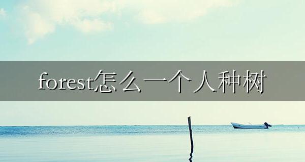 forest如何多人种树 forest怎么一个人种树