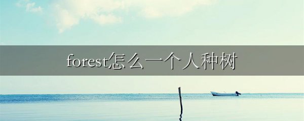 forest怎么一个人种树
