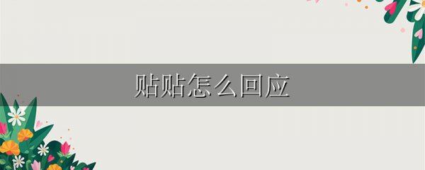 贴贴怎么回应