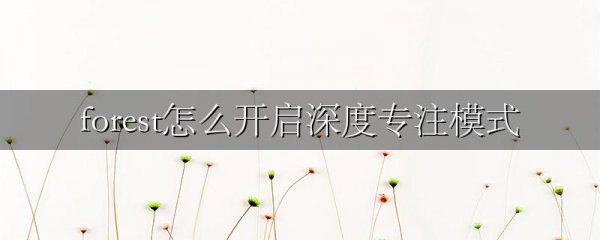 forest怎么开启深度专注模式