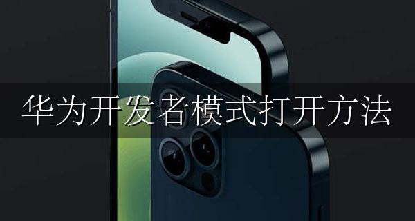 华为开发者模式打开方法 华为开发者模式怎么打开