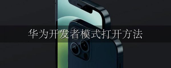 华为开发者模式打开方法