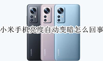 小米手机亮度会自动变暗 小米手机亮度自动变暗怎么回事