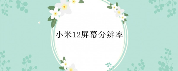 小米12屏幕分辨率
