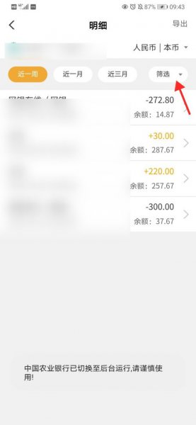 农行app上能删除明细记录吗